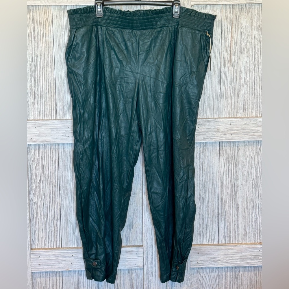 Ryegrass Stylish Green Faux Leather Pants sz 2X NWT